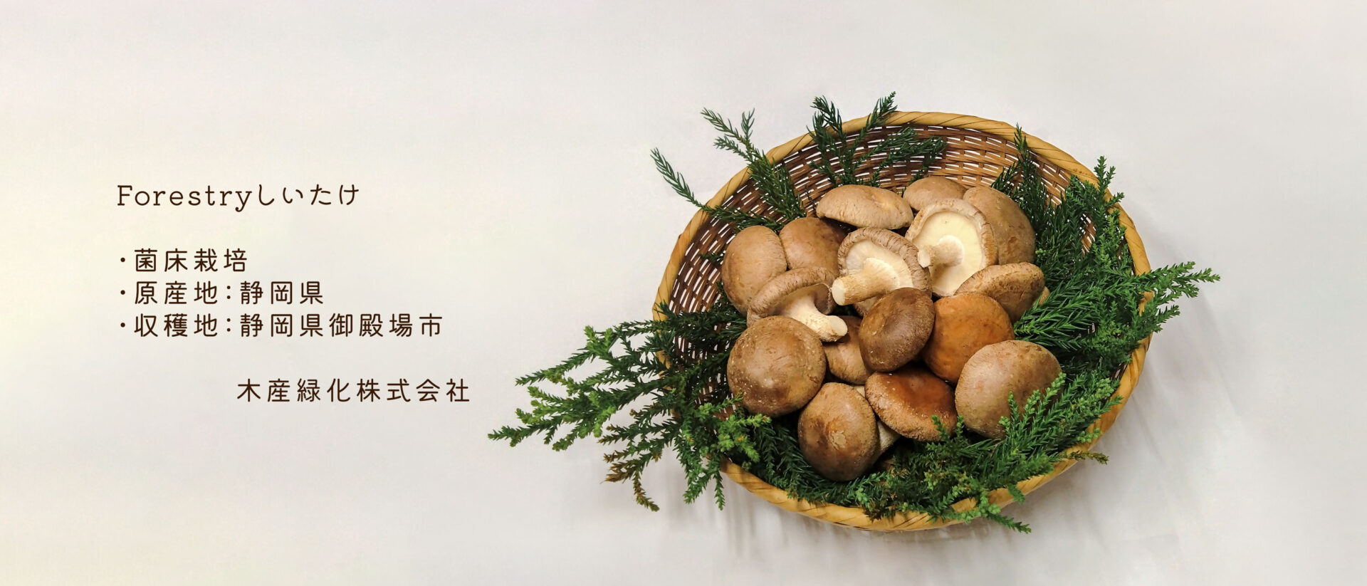 Forestryしいたけ